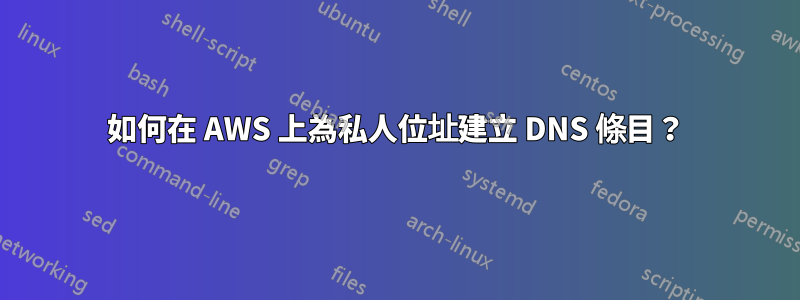 如何在 AWS 上為私人位址建立 DNS 條目？