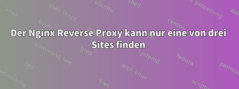 Der Nginx Reverse Proxy kann nur eine von drei Sites finden