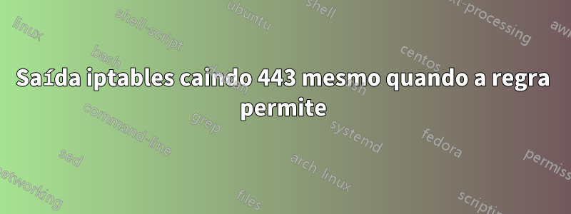 Saída iptables caindo 443 mesmo quando a regra permite