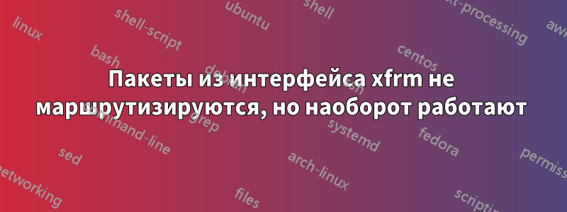 Пакеты из интерфейса xfrm не маршрутизируются, но наоборот работают