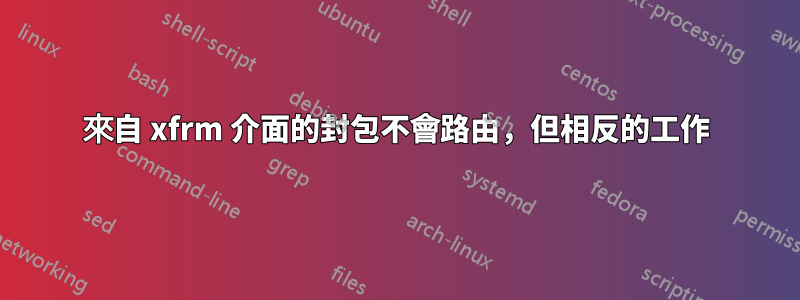 來自 xfrm 介面的封包不會路由，但相反的工作