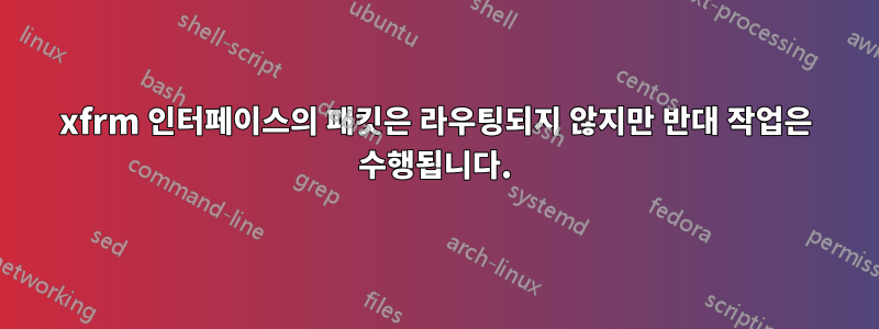 xfrm 인터페이스의 패킷은 라우팅되지 않지만 반대 작업은 수행됩니다.