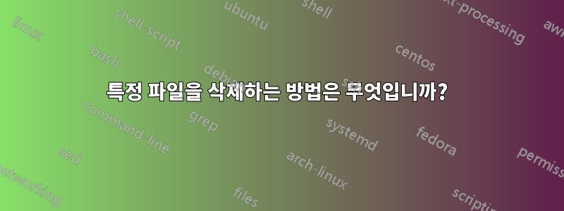 특정 파일을 삭제하는 방법은 무엇입니까? 