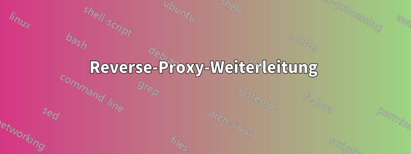 Reverse-Proxy-Weiterleitung