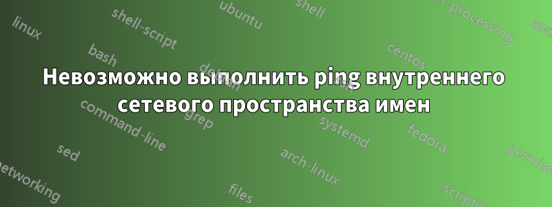 Невозможно выполнить ping внутреннего сетевого пространства имен