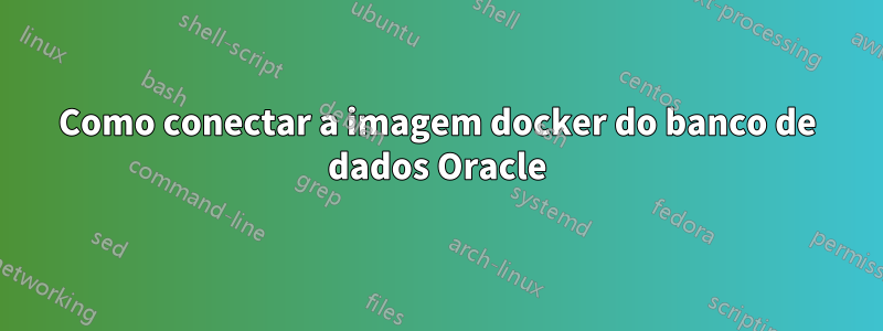 Como conectar a imagem docker do banco de dados Oracle