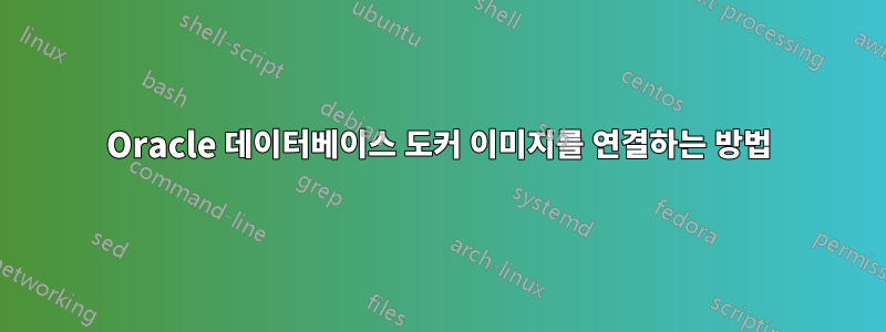 Oracle 데이터베이스 도커 이미지를 연결하는 방법