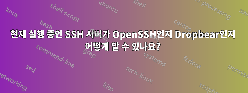 현재 실행 중인 SSH 서버가 OpenSSH인지 Dropbear인지 어떻게 알 수 있나요?