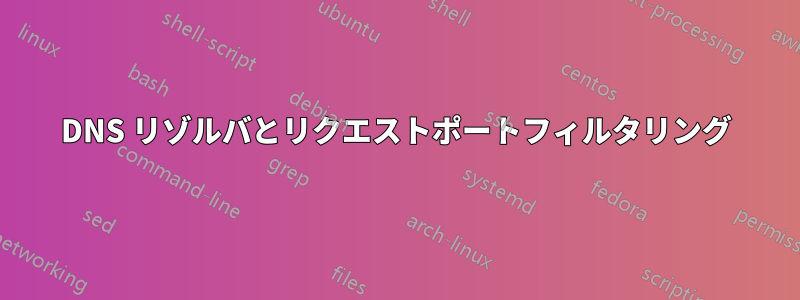 DNS リゾルバとリクエストポートフィルタリング