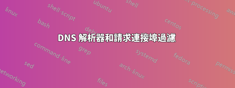 DNS 解析器和請求連接埠過濾