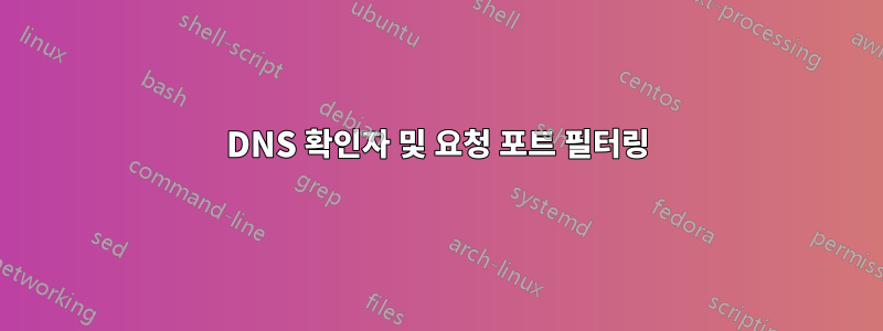 DNS 확인자 및 요청 포트 필터링