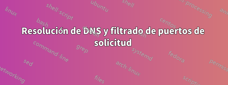 Resolución de DNS y filtrado de puertos de solicitud