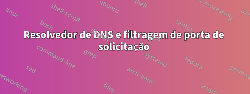 Resolvedor de DNS e filtragem de porta de solicitação