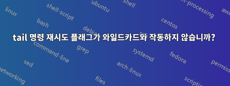 tail 명령 재시도 플래그가 와일드카드와 작동하지 않습니까?