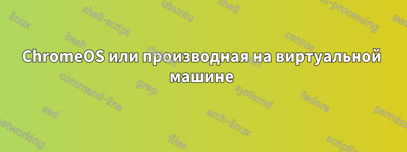 ChromeOS или производная на виртуальной машине