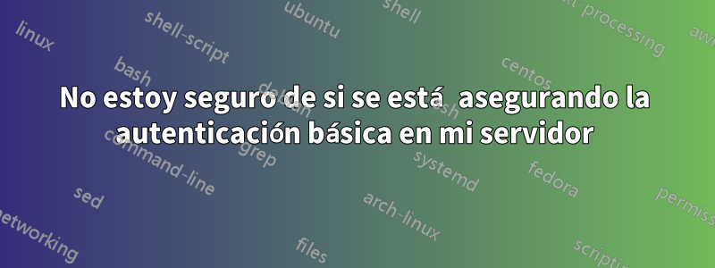 No estoy seguro de si se está asegurando la autenticación básica en mi servidor