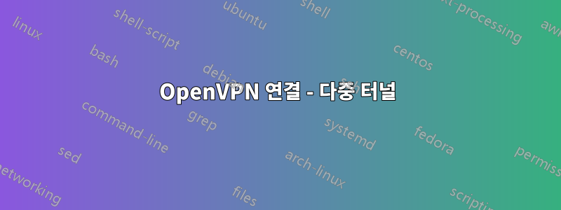 OpenVPN 연결 - 다중 터널
