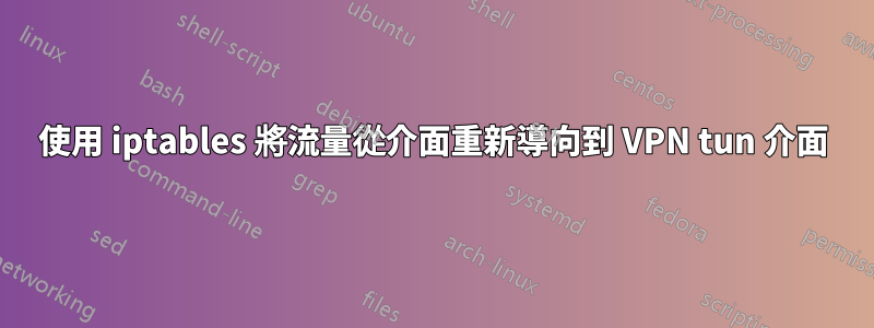 使用 iptables 將流量從介面重新導向到 VPN tun 介面