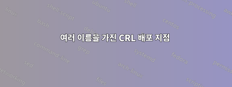 여러 이름을 가진 CRL 배포 지점