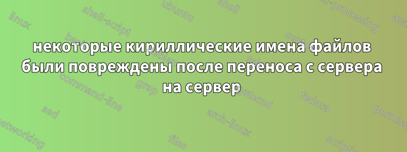 некоторые кириллические имена файлов были повреждены после переноса с сервера на сервер