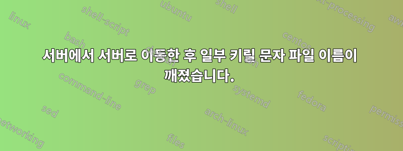 서버에서 서버로 이동한 후 일부 키릴 문자 파일 이름이 깨졌습니다.