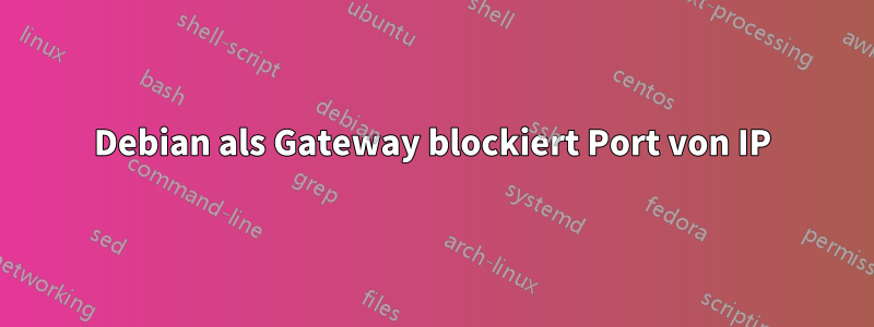 Debian als Gateway blockiert Port von IP