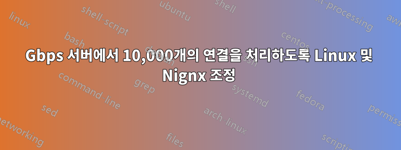 10Gbps 서버에서 10,000개의 연결을 처리하도록 Linux 및 Nignx 조정