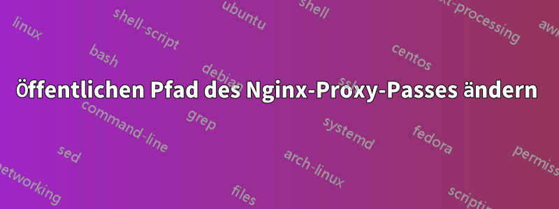 Öffentlichen Pfad des Nginx-Proxy-Passes ändern