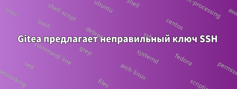 Gitea предлагает неправильный ключ SSH