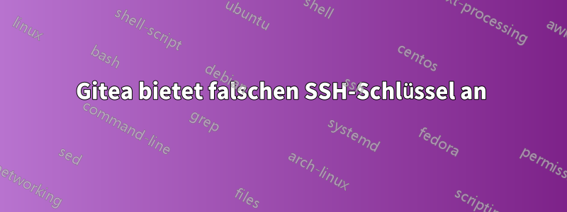 Gitea bietet falschen SSH-Schlüssel an