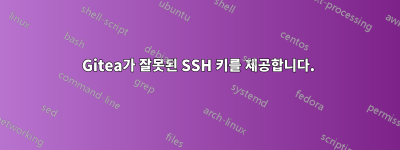 Gitea가 잘못된 SSH 키를 제공합니다.