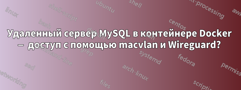 Удаленный сервер MySQL в контейнере Docker — доступ с помощью macvlan и Wireguard?