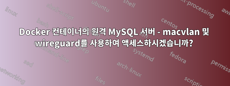 Docker 컨테이너의 원격 MySQL 서버 - macvlan 및 wireguard를 사용하여 액세스하시겠습니까?