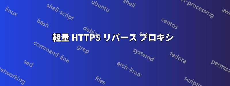 軽量 HTTPS リバース プロキシ 