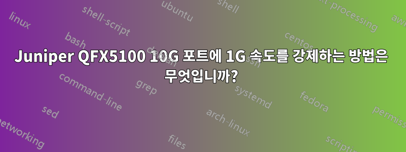 Juniper QFX5100 10G 포트에 1G 속도를 강제하는 방법은 무엇입니까?