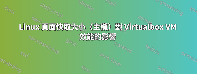 Linux 頁面快取大小（主機）對 Virtualbox VM 效能的影響