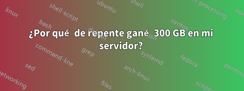 ¿Por qué de repente gané 300 GB en mi servidor?