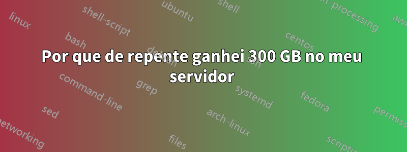 Por que de repente ganhei 300 GB no meu servidor