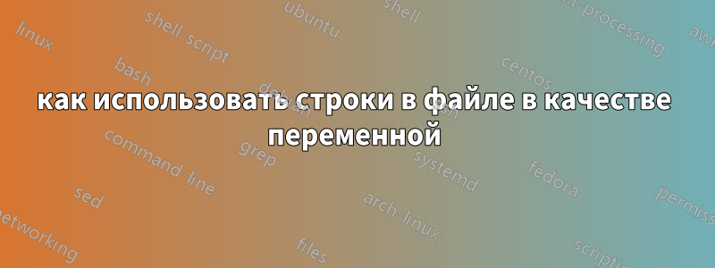как использовать строки в файле в качестве переменной