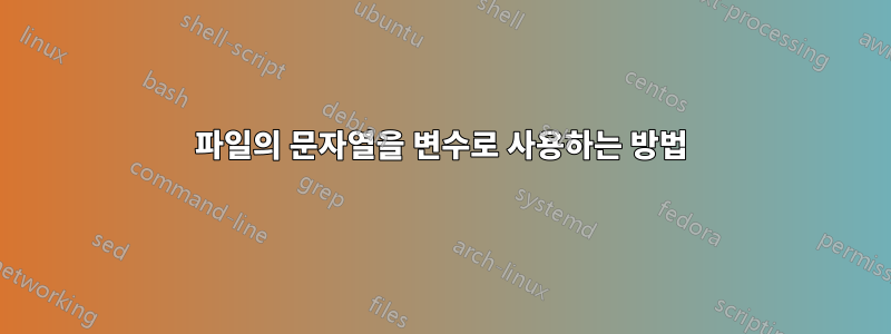 파일의 문자열을 변수로 사용하는 방법