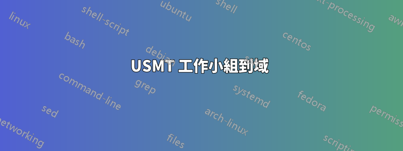 USMT 工作小組到域