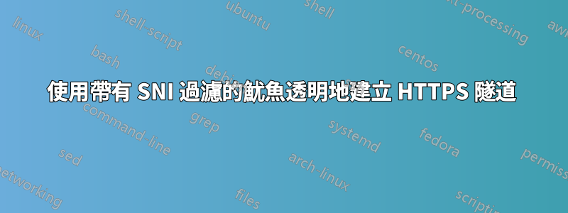 使用帶有 SNI 過濾的魷魚透明地建立 HTTPS 隧道