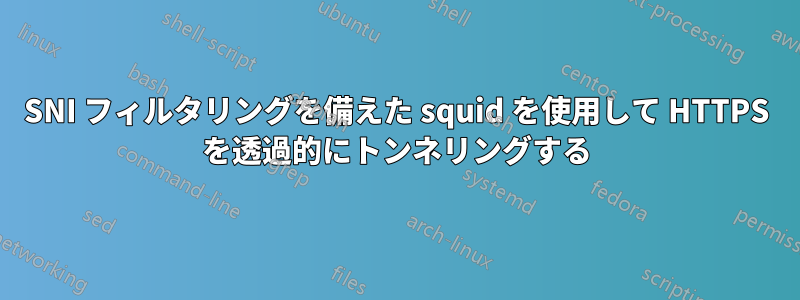 SNI フィルタリングを備えた squid を使用して HTTPS を透過的にトンネリングする