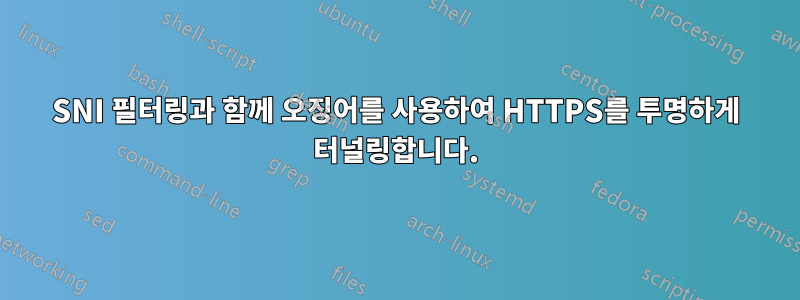 SNI 필터링과 함께 오징어를 사용하여 HTTPS를 투명하게 터널링합니다.