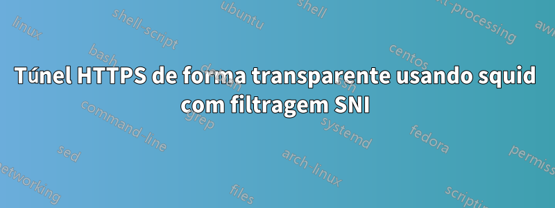 Túnel HTTPS de forma transparente usando squid com filtragem SNI