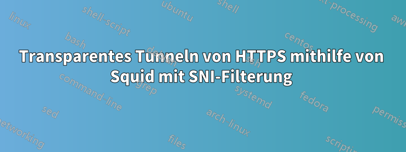 Transparentes Tunneln von HTTPS mithilfe von Squid mit SNI-Filterung