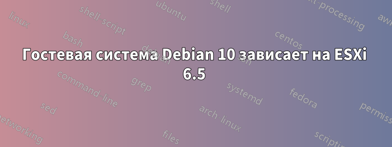 Гостевая система Debian 10 зависает на ESXi 6.5