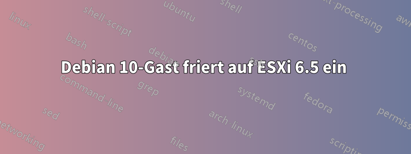 Debian 10-Gast friert auf ESXi 6.5 ein