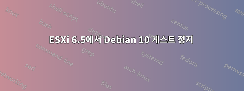 ESXi 6.5에서 Debian 10 게스트 정지