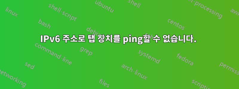 IPv6 주소로 탭 장치를 ping할 수 없습니다.